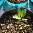 하늘정원3 이미지