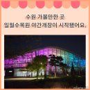 토끼먹골 | 수원 가볼 만한 곳 일월수목원 밤빛정원에 다녀왔어요!