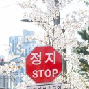 용신중학교 이미지