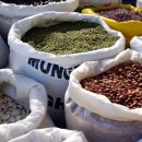 주식회사고기고기 이미지