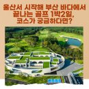 울주 오르비스CC +부산해운대비치CC 1박2일 , 홀인원하면 명품 매트리스까지?(feat. 김태희골프투어)