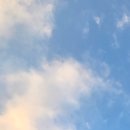 유치과의원 | 광고 아님! 내돈내산 기록 ｜ 동백서울유치과 임플란트 후기(비용 정보)