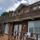 구재봉자두중서 이미지