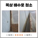 유일사포천공장입구 | 광명 공장 배수로 청소 옥상 지붕 빗물 배수 관리