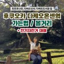 하나화 | [후쿠오카 4박5일 여행 4일차] 다케오온센역, (전기자전거 대여 방법) 다케오신사, 다케오도서관...