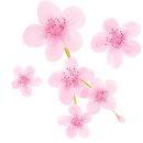 수채화와 디지털 보태니컬 드로잉 이미지