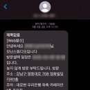 모닌스튜디오 셀렉 후기 &amp; Tip (2025년 3월) #아이웨딩
