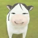 감내분식 | 안돼내방학