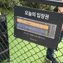 몽글몽글 펫 | 소노펫클럽앤리조트 비발디파크 띵킹독 메뉴 소개, 주차안내, 강아지 플레이그라운드 놀이터 후기