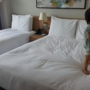 새현대세탁소 이미지