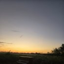 영산강서창들녘억새길 | [광주●서구소식]제10회 광주 서창억새축제에 맨발걷기팀과 슬로조깅단 개막식 참가 후기/2025.10.16