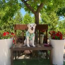 굿모닝 펜션 이미지