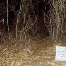 계천목장 이미지