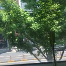 프루티(fruity) 이미지