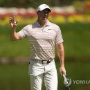 Green Colo 이미지