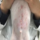 현동물병원 이미지