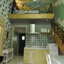 반도스파인 이미지