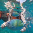 구림약국 | เมืองกระบี่