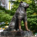 북스테이동상 이미지