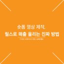초간단 쇼츠 촬영&편집 | 릴스 쇼츠 숏폼영상 하나로 매출 올린 비법, 숏폼 제작부터 편집까지 완벽공개