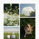 행정사사무소 봄 이미지