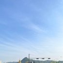 RUN 광화문 | 2025 서울하프마라톤 DNF 회송차 탑승 후기