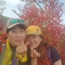 여수에 여자만섬 이미지