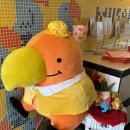 레인보우앵무새카페 | 용리단길 디저트 카페, 용산역 대형카페, 서울 앵무새 평일 방문 후기