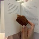 꼬기어때&커피(인계점) | No.2 행복의 달, May!
