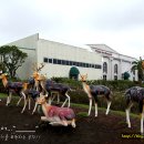 트릭아트뮤지엄 이미지