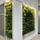 전주시 완산구청 이미지