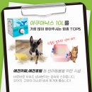 아쿠아PC방 이미지