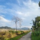 남도삼백리길(8코스) 이미지