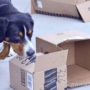 (주)노즈워크 이미지