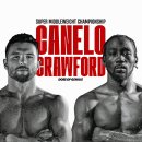 크로포드 | 넷플릭스 카넬로 vs 크로포드 2부작 다큐멘터리 감상 후기