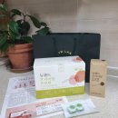 뉴랜드 아도라 이미지