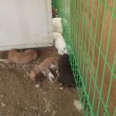 이성찬농장 이미지