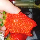 그린마트(서원동) 이미지