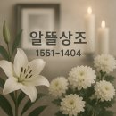 서울특별시 동부병원 | 서울동부병원 장례식장 시설,주차,대중교통 및 비용안내