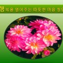 학우사 이미지