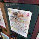 팻스타 | 안성 스타필드에서 가챠뽑고 온 후기(팻테일게코, 꼬마마법사레미)