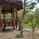 고촌로28번길 이미지