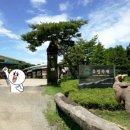 유림주유소 이미지