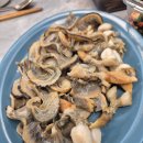 오색키조개 이미지