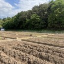 도남농장 이미지