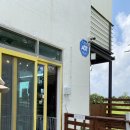 제주펫스쿨 이미지