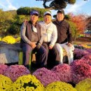 텃밭식당 이미지