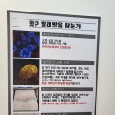 미스터컵 이미지