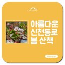 신천동로 이미지