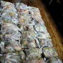 뽑고 또 뽑고 이미지